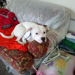 Meet your Posher, Lakesha